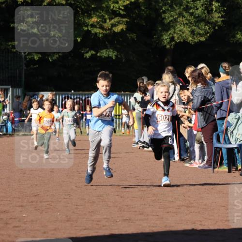 27.09.2026 - 35. Volkslauf durch das schöne Alstertal Strokosch-Dieckow http://msf.ph/oto/10587306 27.09.2026 10:42:16 Ziel 60290, 6024, 6021 meine-sportfotos.de