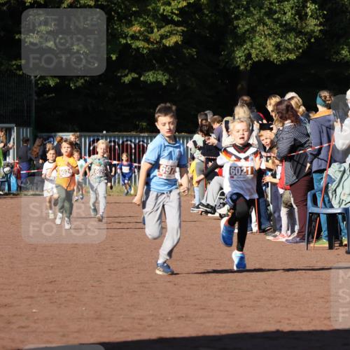 27.09.2026 - 35. Volkslauf durch das schöne Alstertal Strokosch-Dieckow http://msf.ph/oto/10587308 27.09.2026 10:42:16 Ziel 6024, 6029, 6021 meine-sportfotos.de