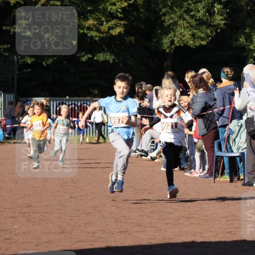 27.09.2026 - 35. Volkslauf durch das schöne Alstertal Strokosch-Dieckow http://msf.ph/oto/10587310 27.09.2026 10:42:16 Ziel 6024, 6029, 697, 6021 meine-sportfotos.de