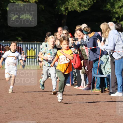 27.09.2026 - 35. Volkslauf durch das schöne Alstertal Strokosch-Dieckow http://msf.ph/oto/10587317 27.09.2026 10:42:21 Ziel 6067, 5029, 6024 meine-sportfotos.de