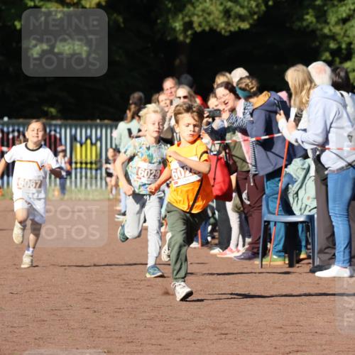 27.09.2026 - 35. Volkslauf durch das schöne Alstertal Strokosch-Dieckow http://msf.ph/oto/10587318 27.09.2026 10:42:21 Ziel 6029, 6024, 6067 meine-sportfotos.de