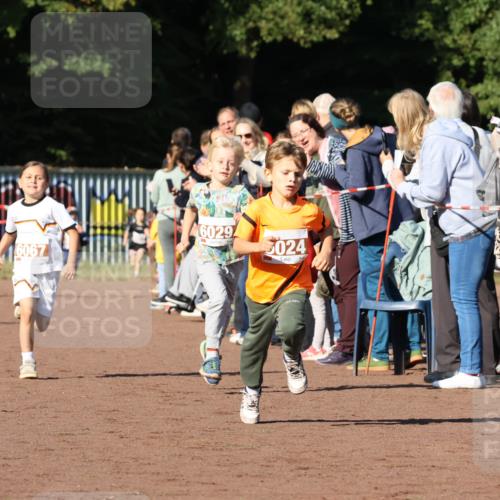 27.09.2026 - 35. Volkslauf durch das schöne Alstertal Strokosch-Dieckow http://msf.ph/oto/10587321 27.09.2026 10:42:21 Ziel 6067, 6029, 024 meine-sportfotos.de