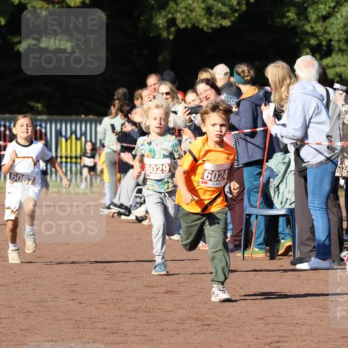 27.09.2026 - 35. Volkslauf durch das schöne Alstertal Strokosch-Dieckow http://msf.ph/oto/10587323 27.09.2026 10:42:21 Ziel 6067, 6029, 6024 meine-sportfotos.de