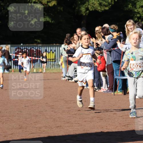 27.09.2026 - 35. Volkslauf durch das schöne Alstertal Strokosch-Dieckow http://msf.ph/oto/10587330 27.09.2026 10:42:23 Ziel 6067, 6029 meine-sportfotos.de