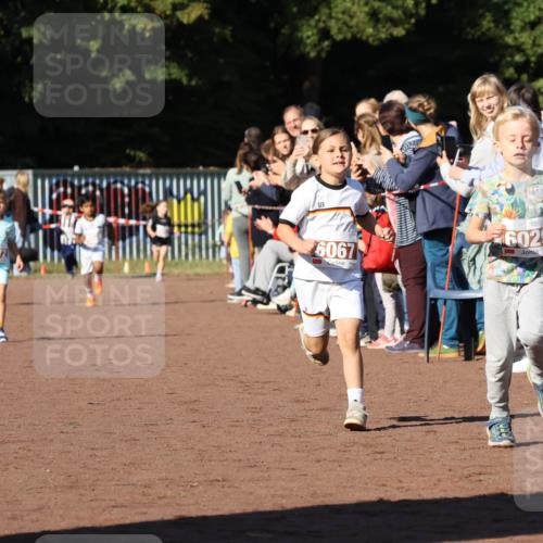 27.09.2026 - 35. Volkslauf durch das schöne Alstertal Strokosch-Dieckow http://msf.ph/oto/10587331 27.09.2026 10:42:23 Ziel 6067, 6029 meine-sportfotos.de