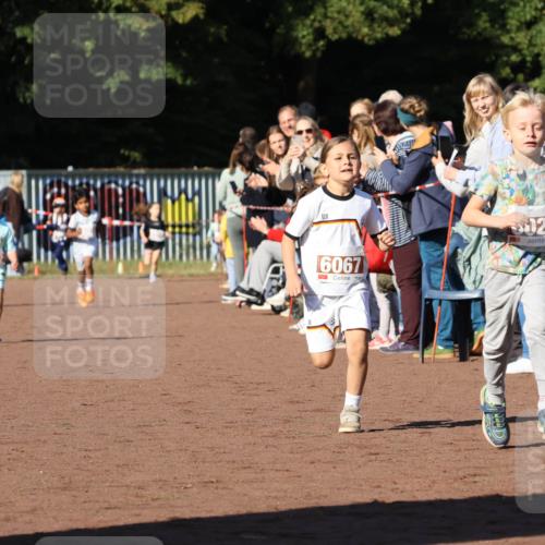 27.09.2026 - 35. Volkslauf durch das schöne Alstertal Strokosch-Dieckow http://msf.ph/oto/10587332 27.09.2026 10:42:23 Ziel 6972, 6067, 129 meine-sportfotos.de