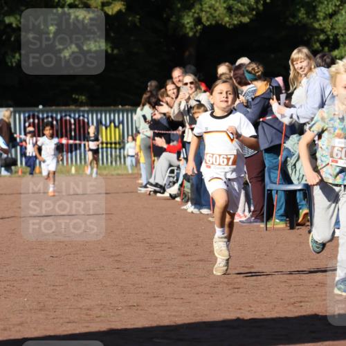 27.09.2026 - 35. Volkslauf durch das schöne Alstertal Strokosch-Dieckow http://msf.ph/oto/10587334 27.09.2026 10:42:23 Ziel 6972, 6067, 6029 meine-sportfotos.de