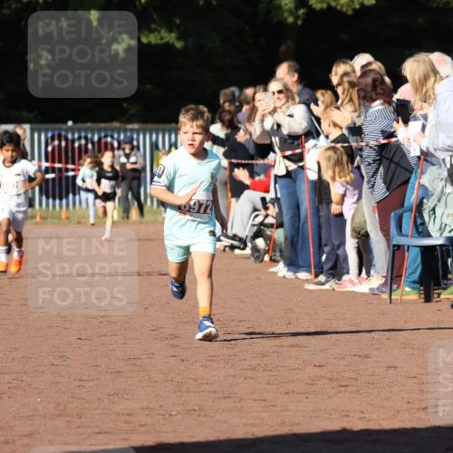 27.09.2026 - 35. Volkslauf durch das schöne Alstertal Strokosch-Dieckow http://msf.ph/oto/10587336 27.09.2026 10:42:27 Ziel 6972 meine-sportfotos.de