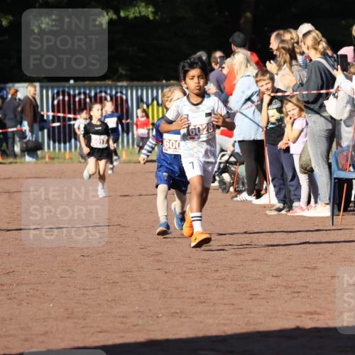 27.09.2026 - 35. Volkslauf durch das schöne Alstertal Strokosch-Dieckow http://msf.ph/oto/10587349 27.09.2026 10:42:31 Ziel 70, 600, 16028, 1 meine-sportfotos.de