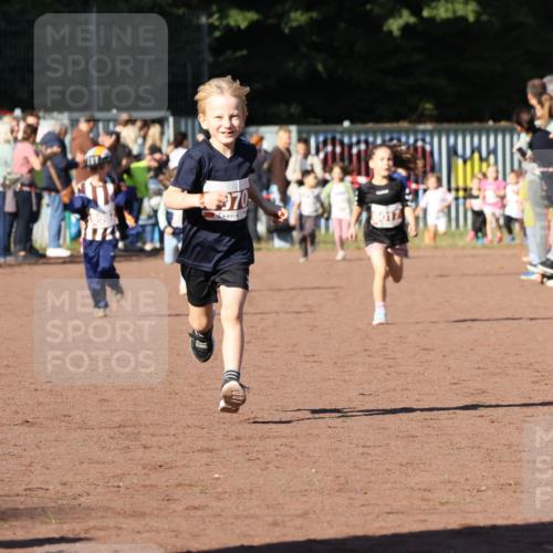 27.09.2026 - 35. Volkslauf durch das schöne Alstertal Strokosch-Dieckow http://msf.ph/oto/10587351 27.09.2026 10:42:34 Ziel 70 meine-sportfotos.de