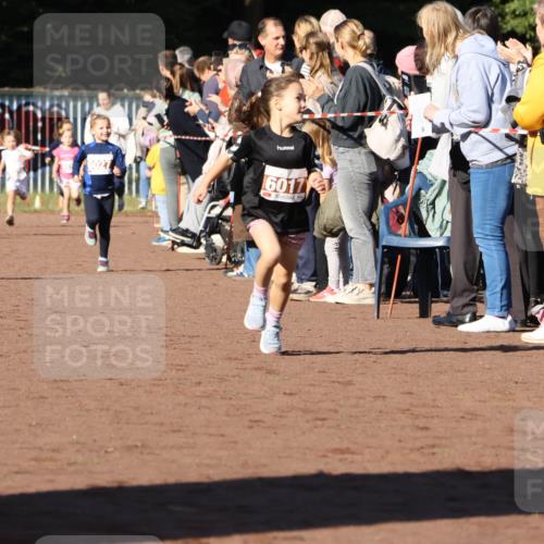 27.09.2026 - 35. Volkslauf durch das schöne Alstertal Strokosch-Dieckow http://msf.ph/oto/10587359 27.09.2026 10:42:37 Ziel 6017 meine-sportfotos.de