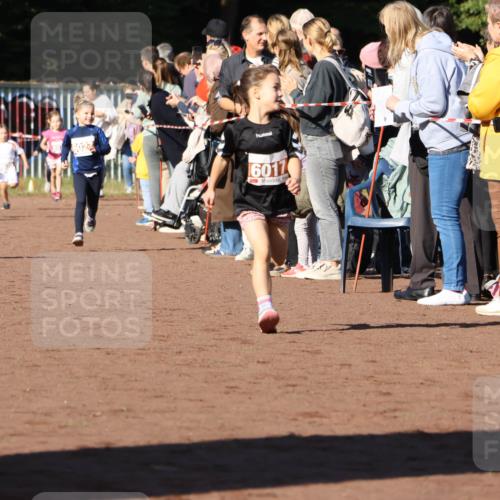 27.09.2026 - 35. Volkslauf durch das schöne Alstertal Strokosch-Dieckow http://msf.ph/oto/10587361 27.09.2026 10:42:38 Ziel 6022, 6017 meine-sportfotos.de
