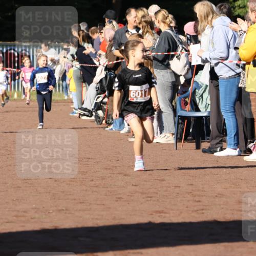 27.09.2026 - 35. Volkslauf durch das schöne Alstertal Strokosch-Dieckow http://msf.ph/oto/10587362 27.09.2026 10:42:38 Ziel 6027, 6011 meine-sportfotos.de