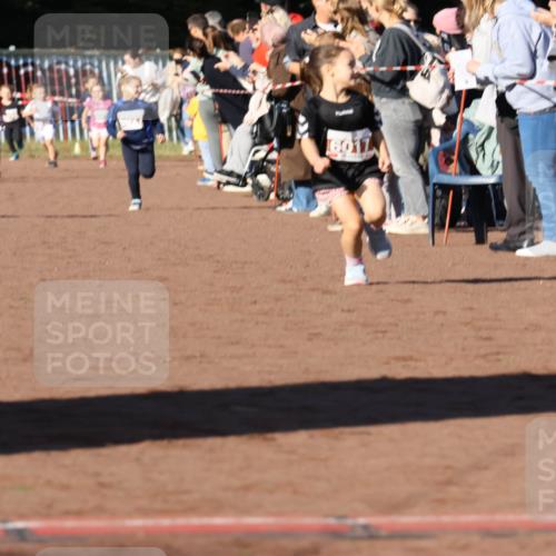 27.09.2026 - 35. Volkslauf durch das schöne Alstertal Strokosch-Dieckow http://msf.ph/oto/10587363 27.09.2026 10:42:38 Ziel 6017 meine-sportfotos.de