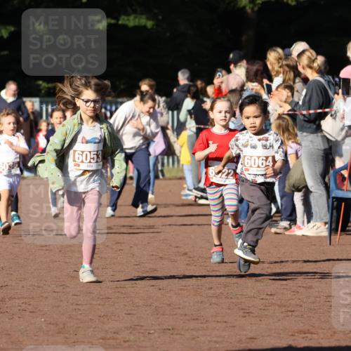 27.09.2026 - 35. Volkslauf durch das schöne Alstertal Strokosch-Dieckow http://msf.ph/oto/10587375 27.09.2026 10:42:48 Ziel 6036, 16053, 6, 22, 6064 meine-sportfotos.de