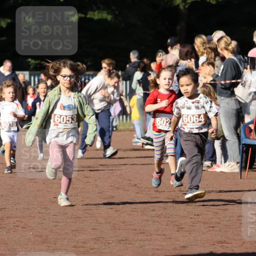 27.09.2026 - 35. Volkslauf durch das schöne Alstertal Strokosch-Dieckow http://msf.ph/oto/10587376 27.09.2026 10:42:48 Ziel 6036, 6053, 602, 6064 meine-sportfotos.de