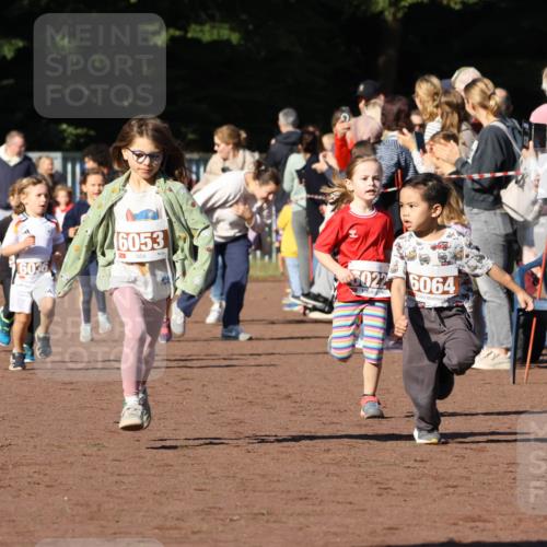 27.09.2026 - 35. Volkslauf durch das schöne Alstertal Strokosch-Dieckow http://msf.ph/oto/10587378 27.09.2026 10:42:48 Ziel 6036, 6053, 6022, 6064 meine-sportfotos.de
