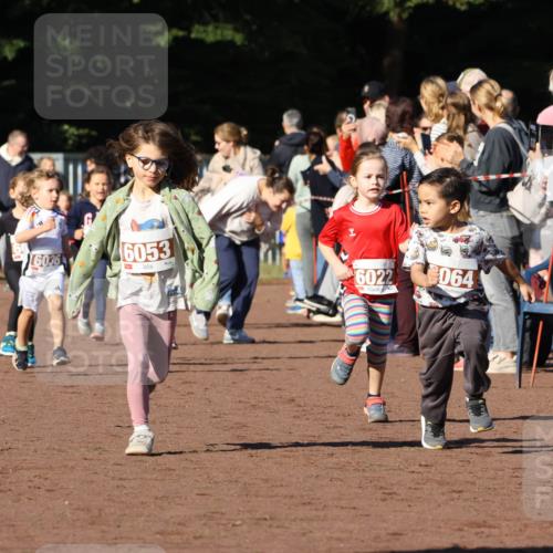 27.09.2026 - 35. Volkslauf durch das schöne Alstertal Strokosch-Dieckow http://msf.ph/oto/10587379 27.09.2026 10:42:48 Ziel 16076, 46053, 6022, 064 meine-sportfotos.de