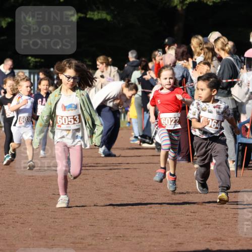 27.09.2026 - 35. Volkslauf durch das schöne Alstertal Strokosch-Dieckow http://msf.ph/oto/10587380 27.09.2026 10:42:48 Ziel 6036, 6053, 6022, 064 meine-sportfotos.de