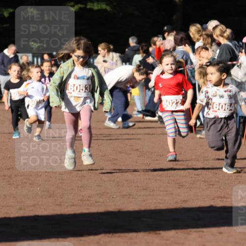 27.09.2026 - 35. Volkslauf durch das schöne Alstertal Strokosch-Dieckow http://msf.ph/oto/10587382 27.09.2026 10:42:48 Ziel 6053, 6022, 6064 meine-sportfotos.de