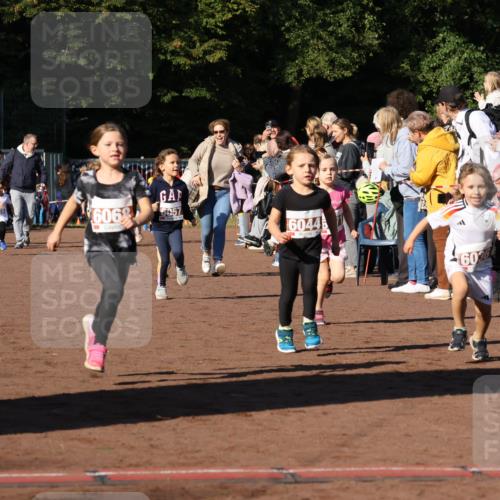 27.09.2026 - 35. Volkslauf durch das schöne Alstertal Strokosch-Dieckow http://msf.ph/oto/10587386 27.09.2026 10:42:53 Ziel 6068, 6057, 60446, 6026, 26 meine-sportfotos.de