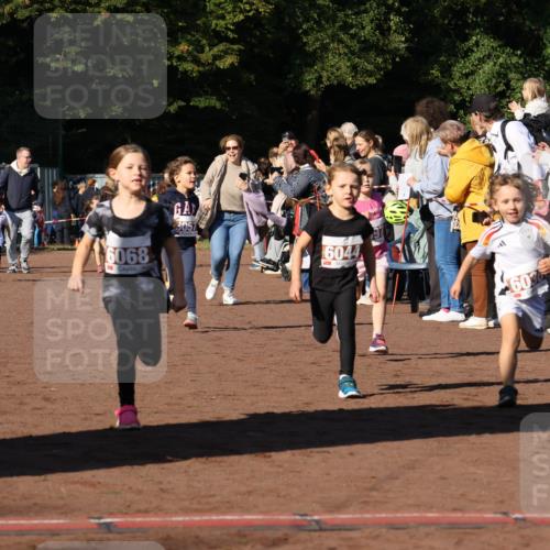 27.09.2026 - 35. Volkslauf durch das schöne Alstertal Strokosch-Dieckow http://msf.ph/oto/10587388 27.09.2026 10:42:54 Ziel 6068, 6057, 6044, 603, 20 meine-sportfotos.de
