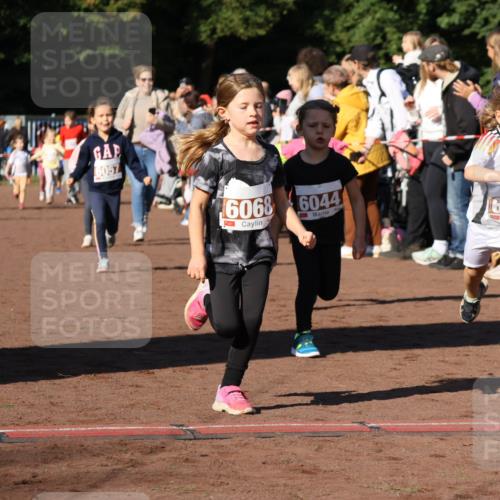 27.09.2026 - 35. Volkslauf durch das schöne Alstertal Strokosch-Dieckow http://msf.ph/oto/10587389 27.09.2026 10:42:54 Ziel 6057, 6068, 6044, 6036 meine-sportfotos.de