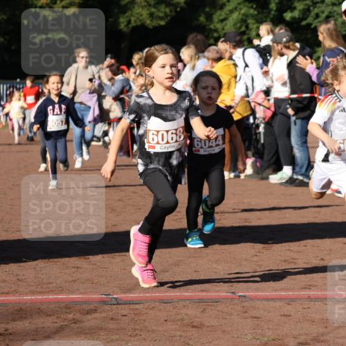27.09.2026 - 35. Volkslauf durch das schöne Alstertal Strokosch-Dieckow http://msf.ph/oto/10587390 27.09.2026 10:42:55 Ziel 6057, 6068, 6044, 6036 meine-sportfotos.de