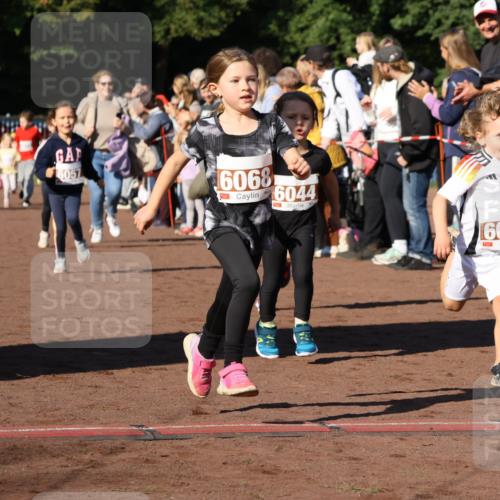 27.09.2026 - 35. Volkslauf durch das schöne Alstertal Strokosch-Dieckow http://msf.ph/oto/10587391 27.09.2026 10:42:55 Ziel 6057, 6068, 6044, 6036 meine-sportfotos.de