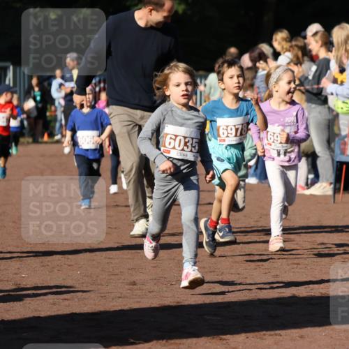 27.09.2026 - 35. Volkslauf durch das schöne Alstertal Strokosch-Dieckow http://msf.ph/oto/10587423 27.09.2026 10:43:19 Ziel 6978, 69, 6060, 16035, 1 meine-sportfotos.de