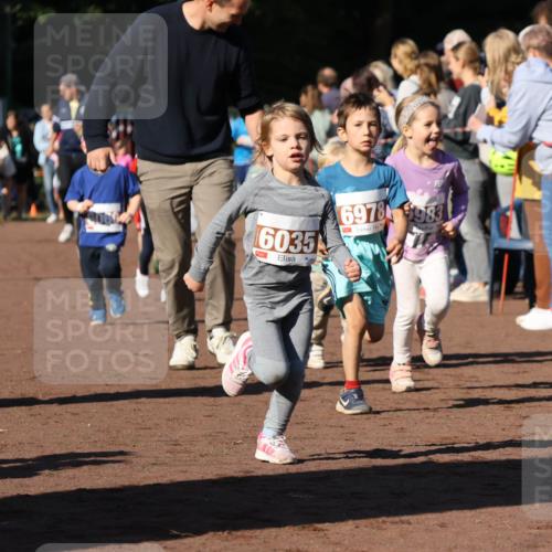 27.09.2026 - 35. Volkslauf durch das schöne Alstertal Strokosch-Dieckow http://msf.ph/oto/10587425 27.09.2026 10:43:19 Ziel 6035, 6978, 983 meine-sportfotos.de