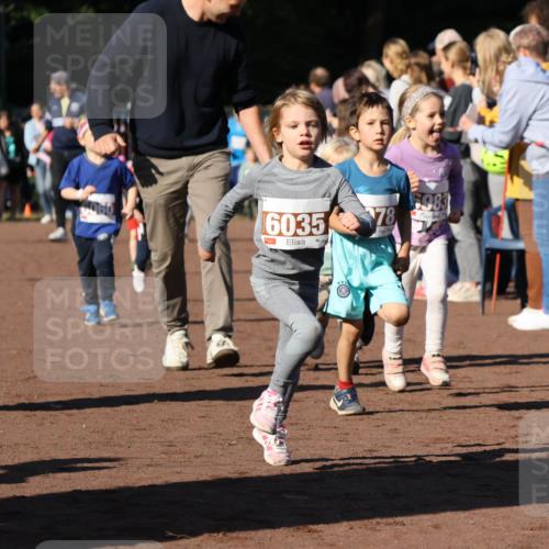 27.09.2026 - 35. Volkslauf durch das schöne Alstertal Strokosch-Dieckow http://msf.ph/oto/10587426 27.09.2026 10:43:19 Ziel 6035, 78, 5983 meine-sportfotos.de