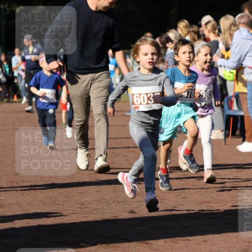27.09.2026 - 35. Volkslauf durch das schöne Alstertal Strokosch-Dieckow http://msf.ph/oto/10587427 27.09.2026 10:43:19 Ziel 603, 78, 983 meine-sportfotos.de