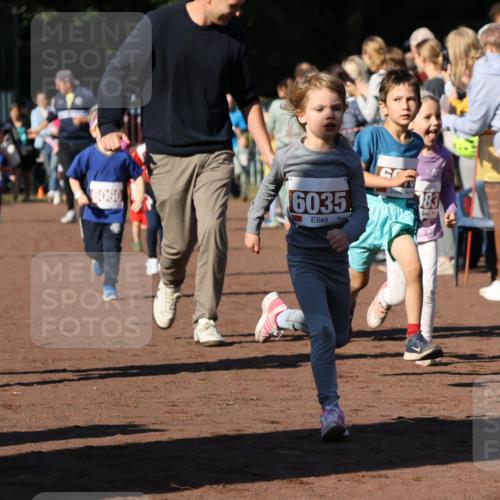 27.09.2026 - 35. Volkslauf durch das schöne Alstertal Strokosch-Dieckow http://msf.ph/oto/10587428 27.09.2026 10:43:19 Ziel 6060, 6035 meine-sportfotos.de