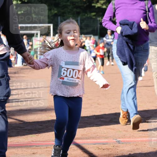27.09.2026 - 35. Volkslauf durch das schöne Alstertal Strokosch-Dieckow http://msf.ph/oto/10587433 27.09.2026 10:43:21 Ziel 6004 meine-sportfotos.de