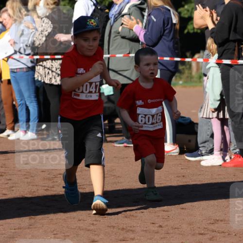 27.09.2026 - 35. Volkslauf durch das schöne Alstertal Strokosch-Dieckow http://msf.ph/oto/10587440 27.09.2026 10:43:30 Ziel 6014, 047, 6046 meine-sportfotos.de