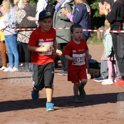 27.09.2026 - 35. Volkslauf durch das schöne Alstertal Strokosch-Dieckow http://msf.ph/oto/10587441 27.09.2026 10:43:30 Ziel 6014, 046 meine-sportfotos.de