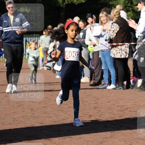 27.09.2026 - 35. Volkslauf durch das schöne Alstertal Strokosch-Dieckow http://msf.ph/oto/10587446 27.09.2026 10:43:32 Ziel 6006, 6002, 601, 6062 meine-sportfotos.de