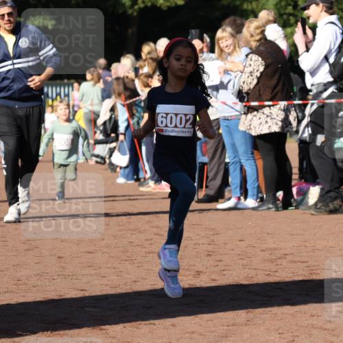 27.09.2026 - 35. Volkslauf durch das schöne Alstertal Strokosch-Dieckow http://msf.ph/oto/10587449 27.09.2026 10:43:32 Ziel 6002, 60 meine-sportfotos.de