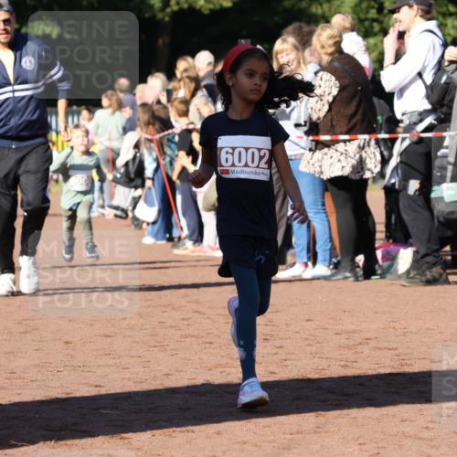 27.09.2026 - 35. Volkslauf durch das schöne Alstertal Strokosch-Dieckow http://msf.ph/oto/10587451 27.09.2026 10:43:33 Ziel 7006, 6002, 2909, 6 meine-sportfotos.de