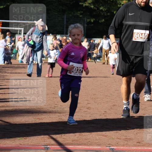 27.09.2026 - 35. Volkslauf durch das schöne Alstertal Strokosch-Dieckow http://msf.ph/oto/10587468 27.09.2026 10:43:46 Ziel 032, 6040, 60 meine-sportfotos.de