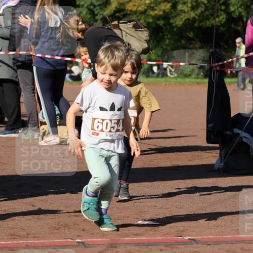 27.09.2026 - 35. Volkslauf durch das schöne Alstertal Strokosch-Dieckow http://msf.ph/oto/10587486 27.09.2026 10:44:10 Ziel 6049, 1, 6054 meine-sportfotos.de
