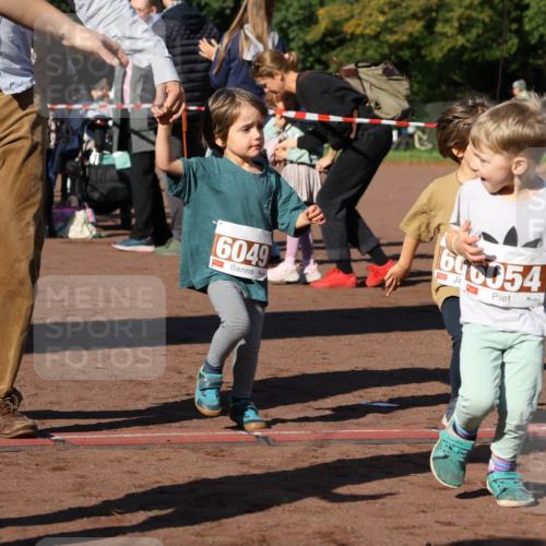 27.09.2026 - 35. Volkslauf durch das schöne Alstertal Strokosch-Dieckow http://msf.ph/oto/10587491 27.09.2026 10:44:11 Ziel 6055, 6049, 606054 meine-sportfotos.de