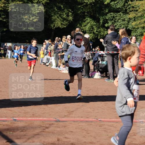 27.09.2026 - 35. Volkslauf durch das schöne Alstertal Strokosch-Dieckow http://msf.ph/oto/10587514 27.09.2026 10:44:35 Ziel 5005, 5003, 5005, 5032 meine-sportfotos.de
