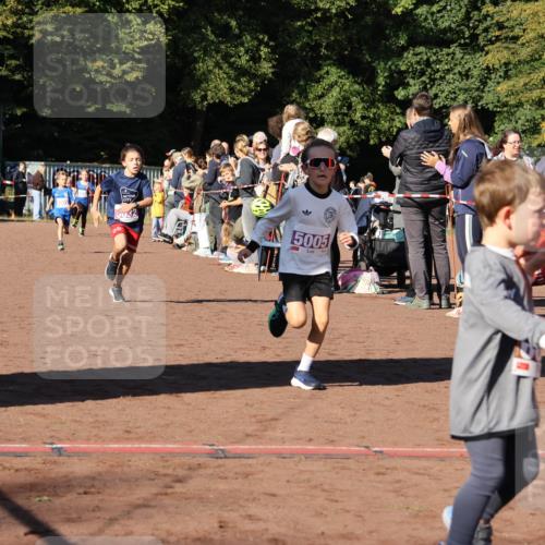 27.09.2026 - 35. Volkslauf durch das schöne Alstertal Strokosch-Dieckow http://msf.ph/oto/10587516 27.09.2026 10:44:35 Ziel 5032, 5005, 5003, 5005, 5032 meine-sportfotos.de