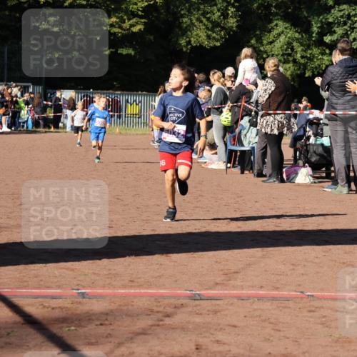 27.09.2026 - 35. Volkslauf durch das schöne Alstertal Strokosch-Dieckow http://msf.ph/oto/10587518 27.09.2026 10:44:36 Ziel 6, 5003, 5005, 5032, 5036, 5043 meine-sportfotos.de