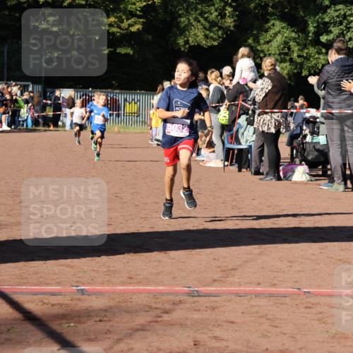 27.09.2026 - 35. Volkslauf durch das schöne Alstertal Strokosch-Dieckow http://msf.ph/oto/10587519 27.09.2026 10:44:37 Ziel 500, 5032, 6, 5003, 5005, 5032, 5036, 5043 meine-sportfotos.de