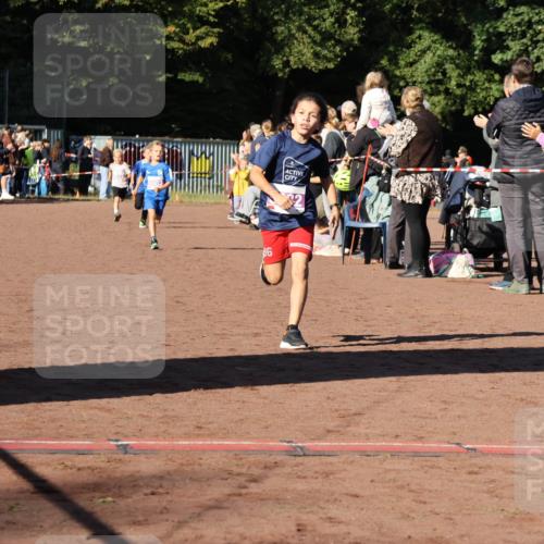 27.09.2026 - 35. Volkslauf durch das schöne Alstertal Strokosch-Dieckow http://msf.ph/oto/10587521 27.09.2026 10:44:37 Ziel 96, 5003, 5005, 5032, 5036, 5043 meine-sportfotos.de
