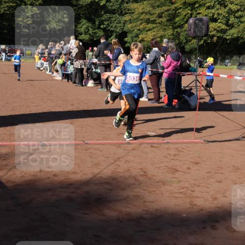 27.09.2026 - 35. Volkslauf durch das schöne Alstertal Strokosch-Dieckow http://msf.ph/oto/10587534 27.09.2026 10:44:45 Ziel 5036, 5020, 5036, 5043, 5982 meine-sportfotos.de