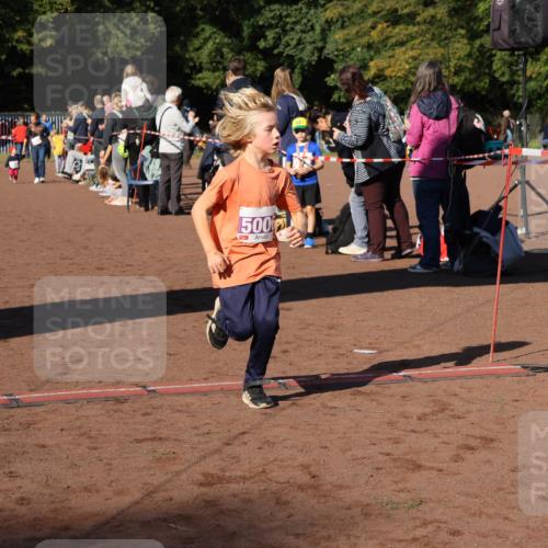 27.09.2026 - 35. Volkslauf durch das schöne Alstertal Strokosch-Dieckow http://msf.ph/oto/10587578 27.09.2026 10:45:11 Ziel 500, 5006 meine-sportfotos.de